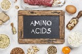 Amino Acids